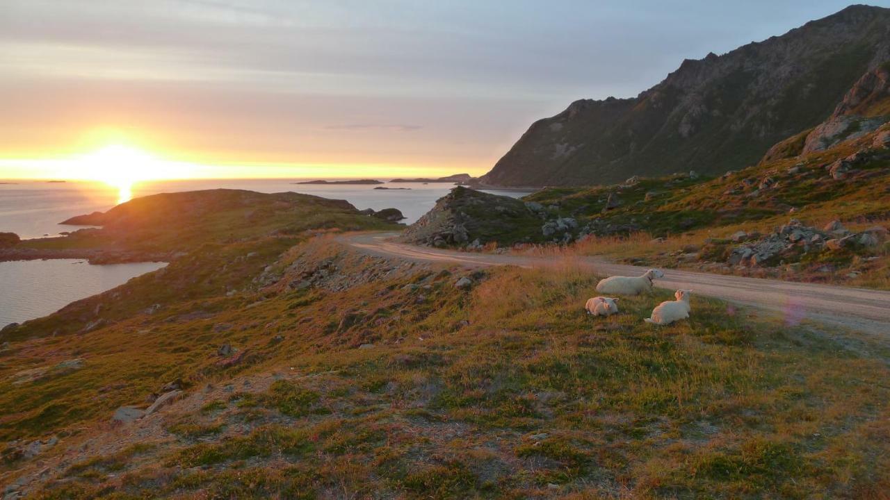 Nyksundrom, Nyksund Hotel Екстериор снимка